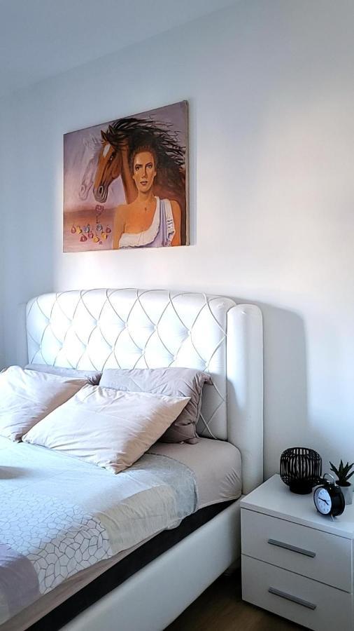 Apartman Crown Vrnjacka Banja Luaran gambar